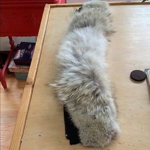 Canada Goose Fur hood